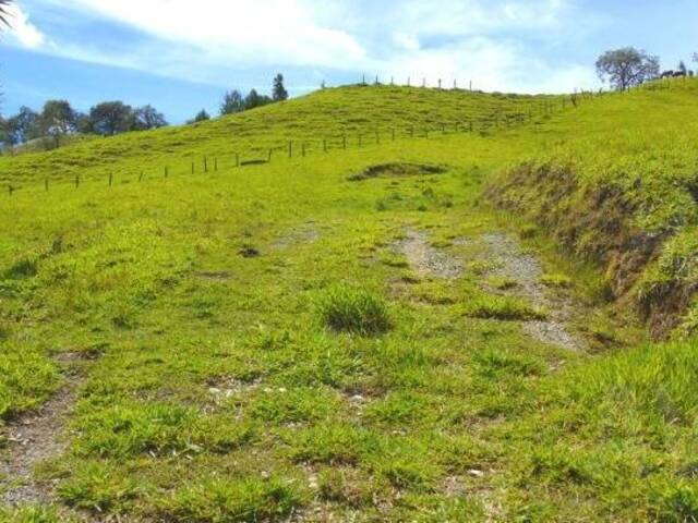 Terreno para Venta en Rionegro - 4