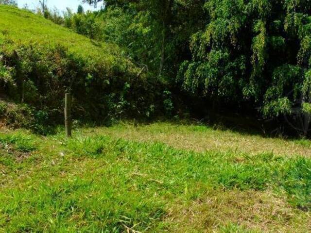Terreno para Venta en Rionegro - 5