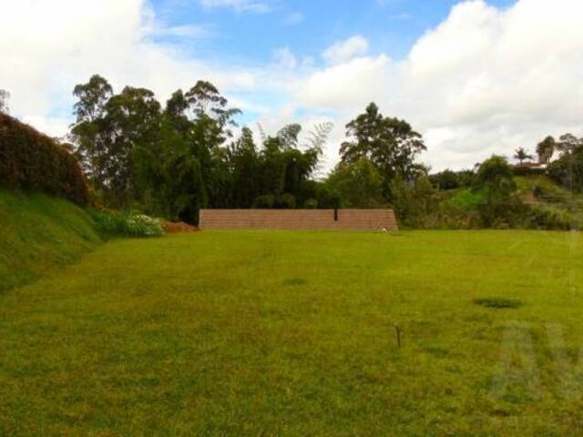 Terreno para Venta en Rionegro - 4