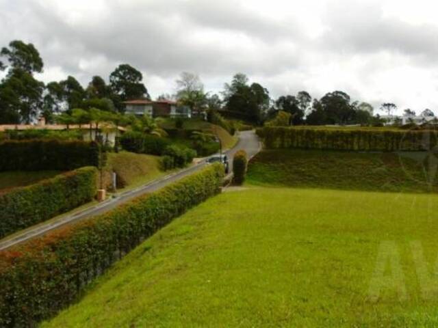 Terreno para Venta en Rionegro - 5