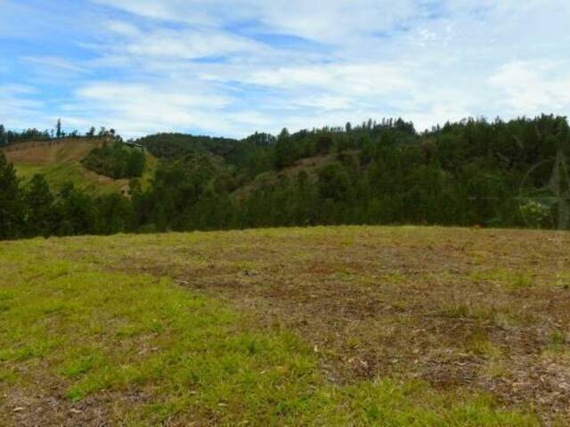 #660 - Terreno para Venta en Retiro - ANT - 2