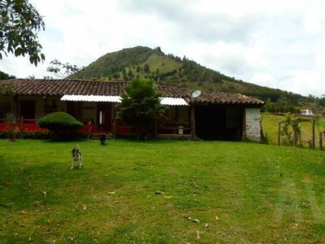 #689 - Finca para Venta en La Ceja - ANT - 3