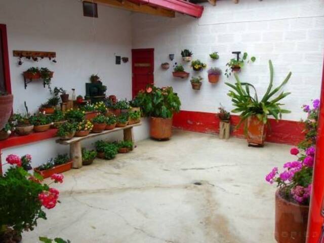 Finca para Venta en La Ceja - 4