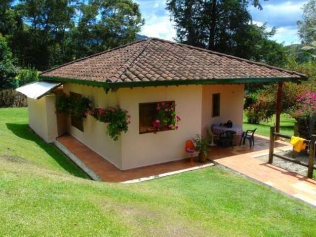 Finca para Venta en La Ceja - 4