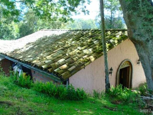 Finca para Venta en La Ceja - 5
