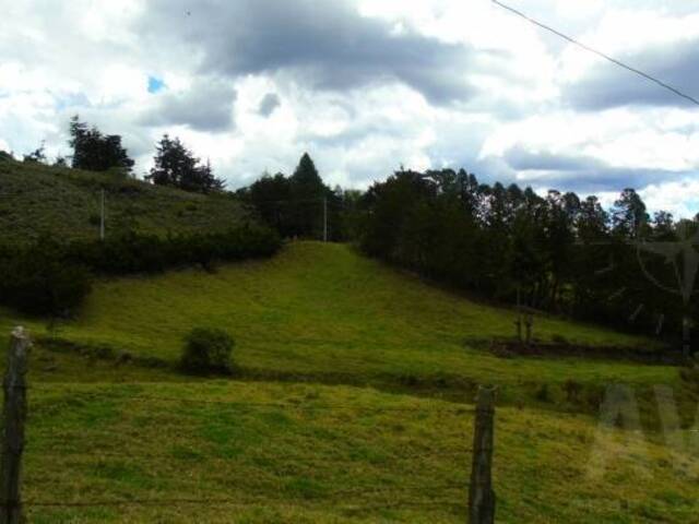 Terreno para Venta en Retiro - 4