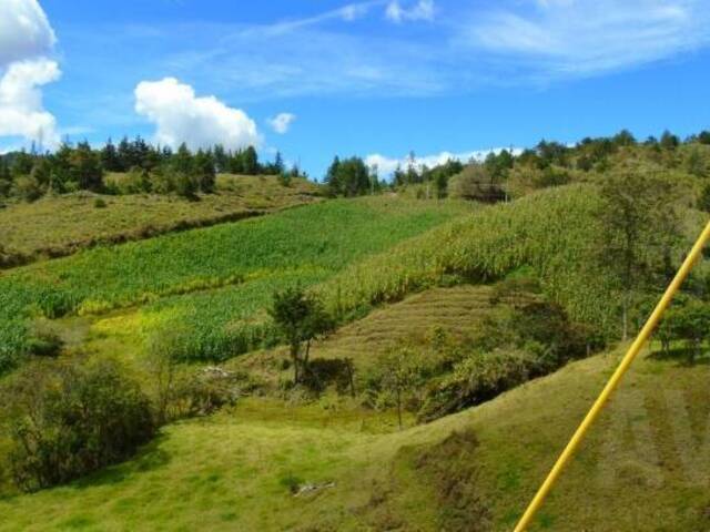 Terreno para Venta en Retiro - 5