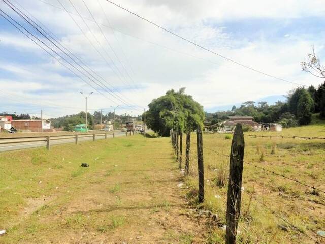 #174 - Industrial para Venta en Guarne - ANT - 3