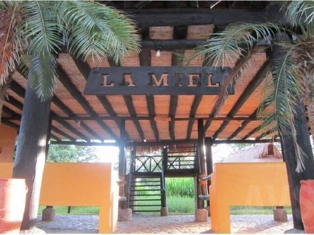 Finca para Venta en Venecia - 4