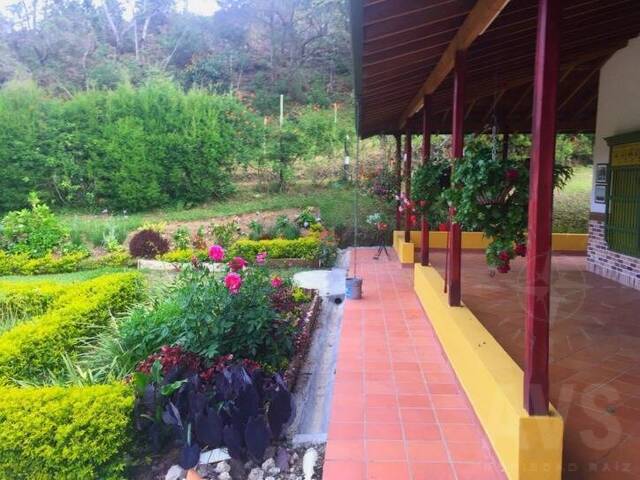 Finca para Venta en Guarne - 4