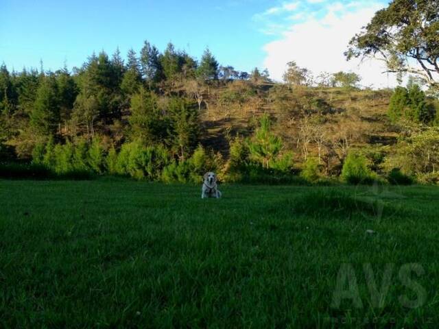 Finca para Venta en Guarne - 5