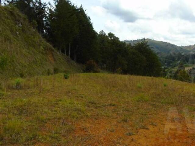 #541 - Terreno para Venta en Rionegro - ANT - 2
