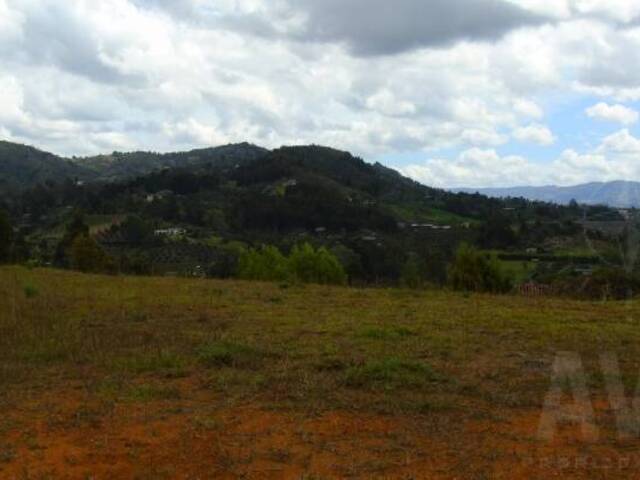 #541 - Terreno para Venta en Rionegro - ANT - 3