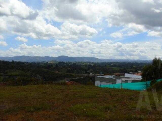 Terreno para Venta en Rionegro - 4