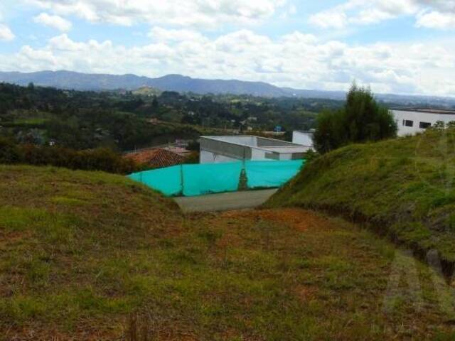 Terreno para Venta en Rionegro - 5