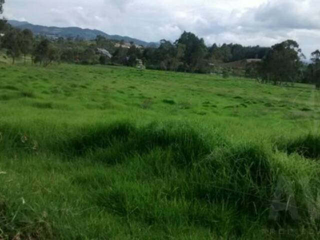 Finca para Venta en La Unión - 4