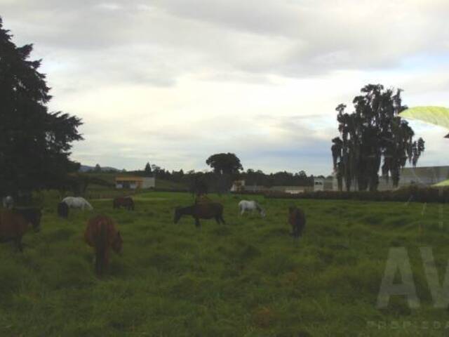 Terreno para Venta en Rionegro - 2