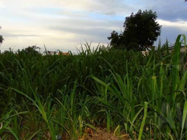 Terreno para Venta en Rionegro - 4