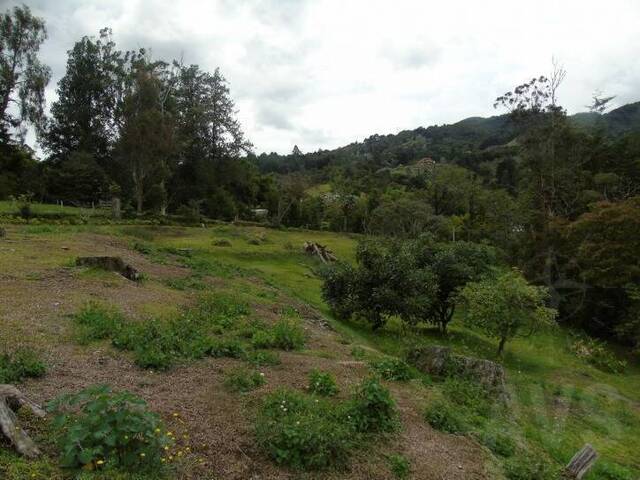 Finca para Venta en Rionegro - 4