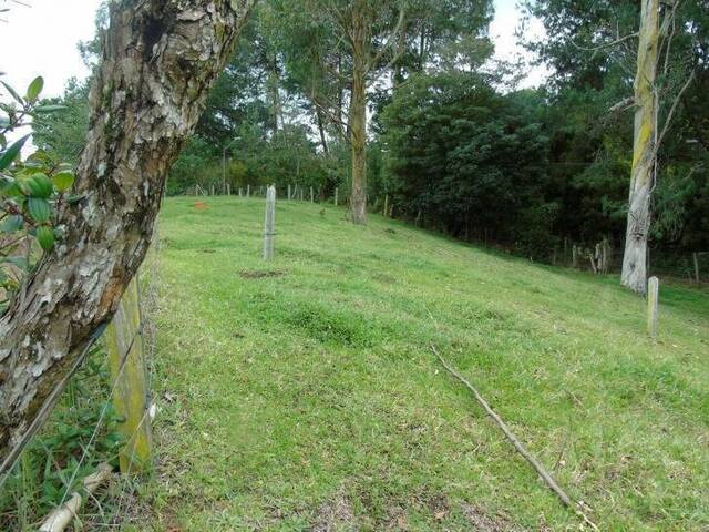 Finca para Venta en Rionegro - 5