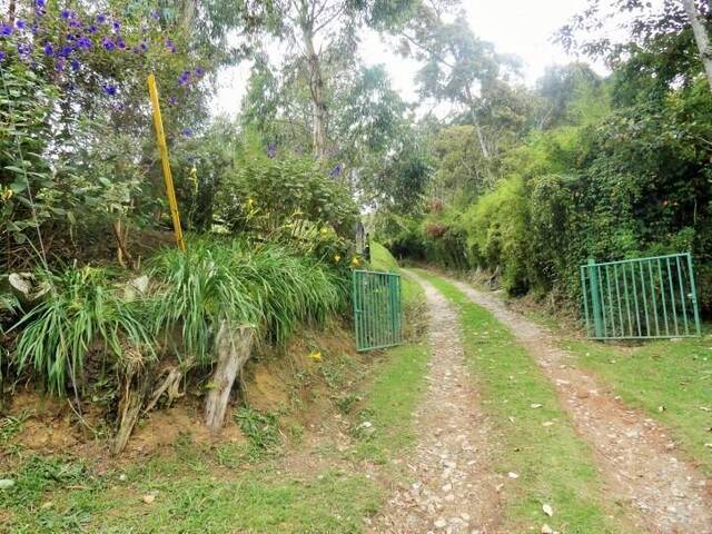 Finca para Venta en Retiro - 4