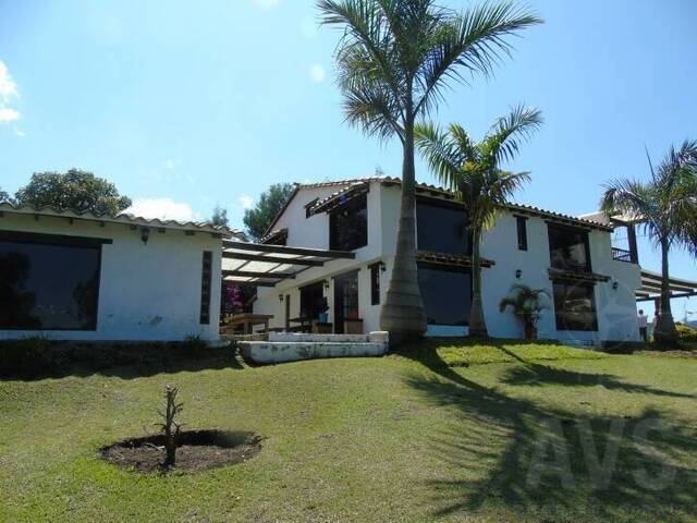 Finca para Venta en Carmen de Viboral - 4