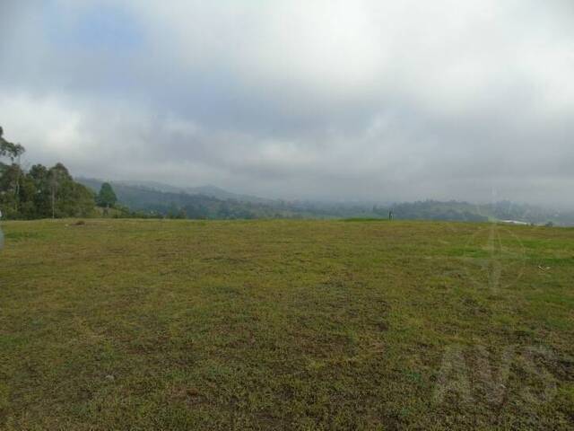 Terreno para Venta en Rionegro - 2