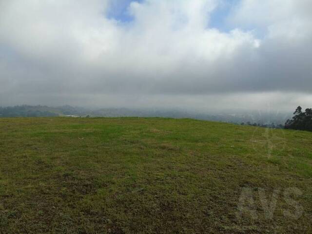 Terreno para Venta en Rionegro - 3