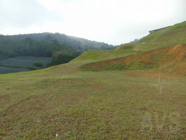 Terreno para Venta en Rionegro - 4