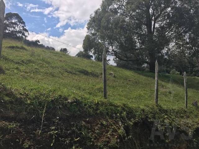 Terreno para Venta en Rionegro - 2
