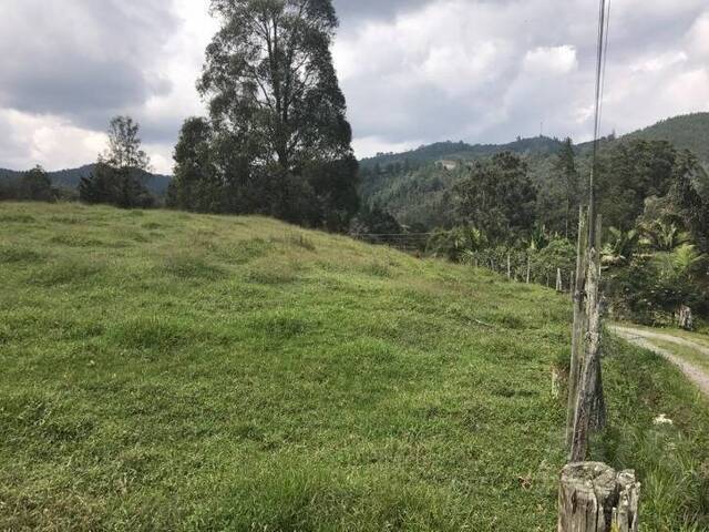 Terreno para Venta en Rionegro - 3