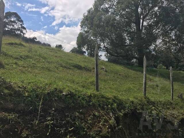 Terreno para Venta en Rionegro - 4