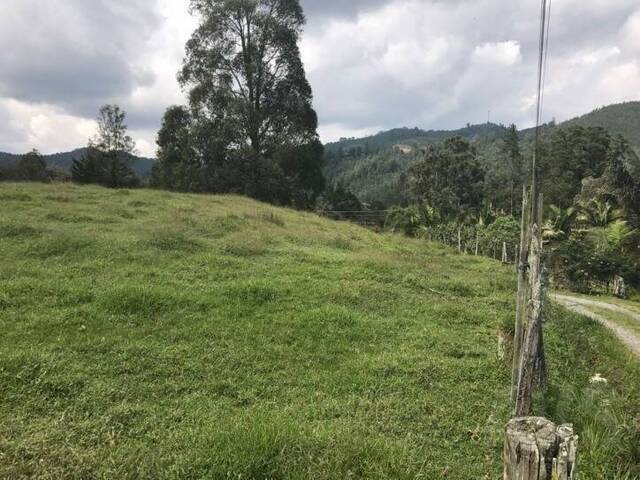 Terreno para Venta en Rionegro - 5