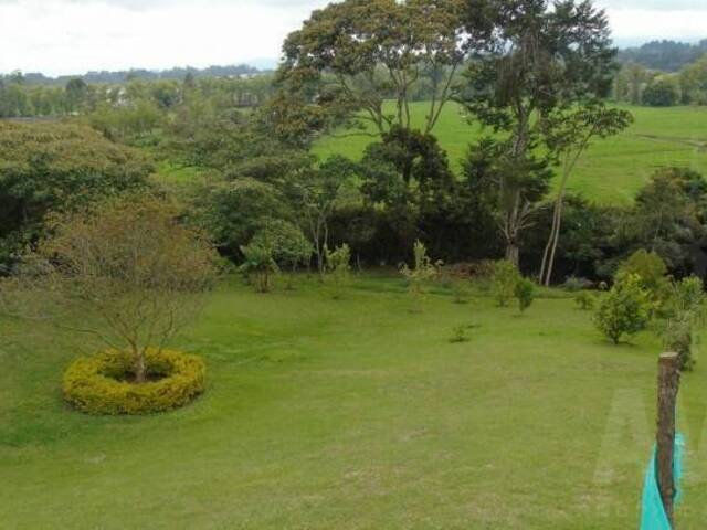 #936 - Terreno para Venta en Rionegro - ANT - 1