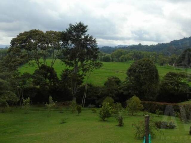 Terreno para Venta en Rionegro - 4